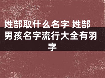 姓郜取什么名字 姓郜男孩名字流行大全有羽字