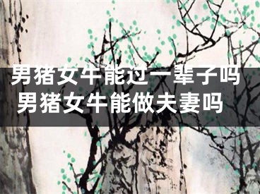 男猪女牛能过一辈子吗 男猪女牛能做夫妻吗