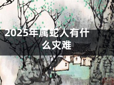 2025年属蛇人有什么灾难
