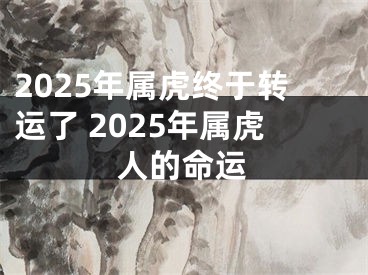 2025年属虎终于转运了 2025年属虎人的命运