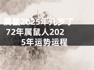 属鼠2025年几岁了 72年属鼠人2025年运势运程