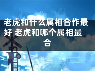 老虎和什么属相合作最好 老虎和哪个属相最合