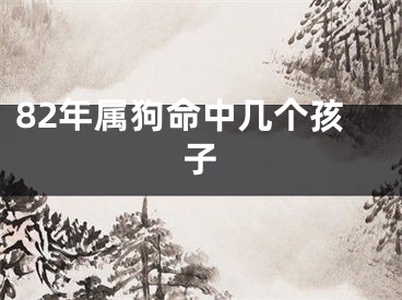 82年属狗命中几个孩子