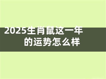 2025生肖鼠这一年的运势怎么样