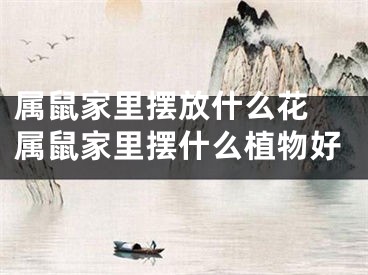 属鼠家里摆放什么花 属鼠家里摆什么植物好
