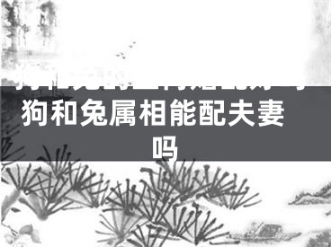 狗和兔的生肖婚配好吗 狗和兔属相能配夫妻吗