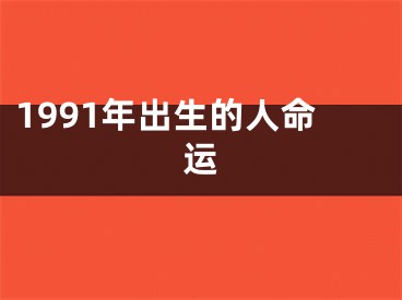 1991年出生的人命运