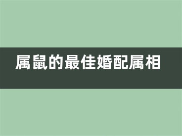 属鼠的最佳婚配属相