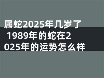 属蛇2025年几岁了 1989年的蛇在2025年的运势怎么样
