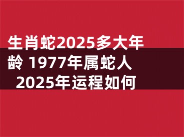 生肖蛇2025多大年龄 1977年属蛇人2025年运程如何