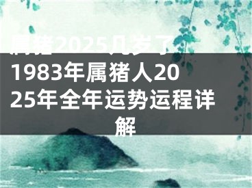 属猪2025几岁了 1983年属猪人2025年全年运势运程详解