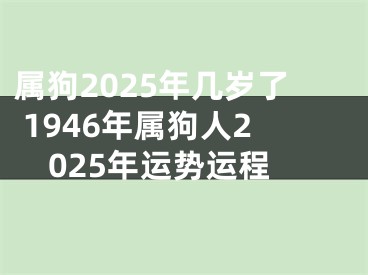 属狗2025年几岁了 1946年属狗人2025年运势运程