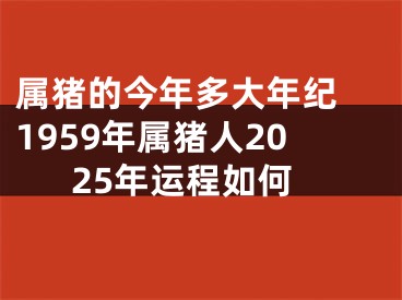 属猪的今年多大年纪 1959年属猪人2025年运程如何