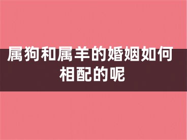 属狗和属羊的婚姻如何相配的呢