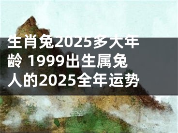 生肖兔2025多大年龄 1999出生属兔人的2025全年运势