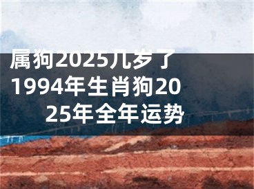 属狗2025几岁了 1994年生肖狗2025年全年运势