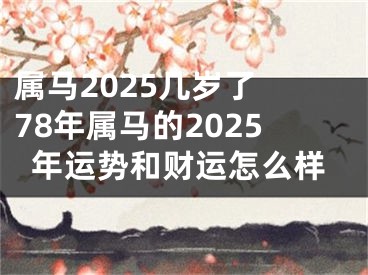 属马2025几岁了 78年属马的2025年运势和财运怎么样