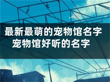 最新最萌的宠物馆名字 宠物馆好听的名字
