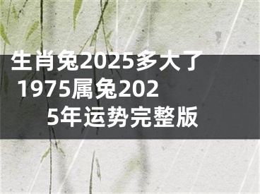生肖兔2025多大了 1975属兔2025年运势完整版