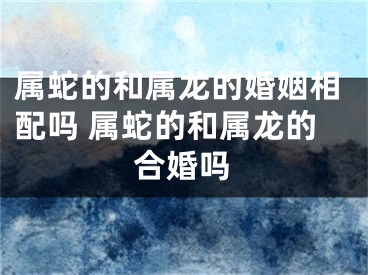 属蛇的和属龙的婚姻相配吗 属蛇的和属龙的合婚吗