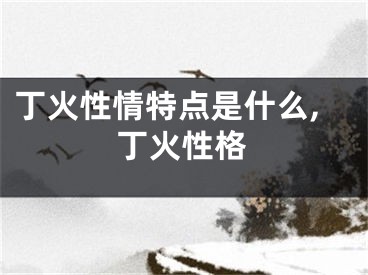 丁火性情特点是什么,丁火性格