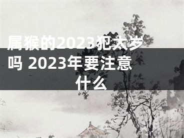 属猴的2023犯太岁吗 2023年要注意什么