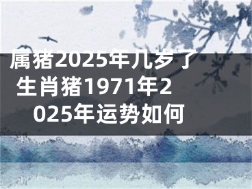 属猪2025年几岁了 生肖猪1971年2025年运势如何