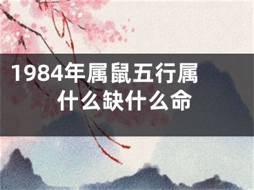 1984年属鼠五行属什么缺什么命