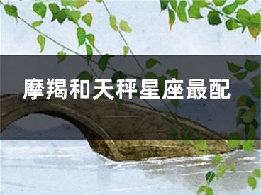 摩羯和天秤星座最配