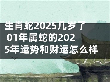 生肖蛇2025几岁了 01年属蛇的2025年运势和财运怎么样