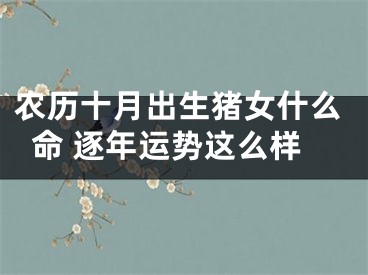农历十月出生猪女什么命 逐年运势这么样