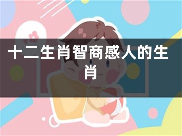 十二生肖智商感人的生肖