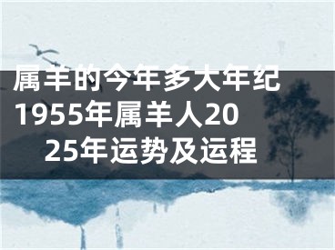 属羊的今年多大年纪 1955年属羊人2025年运势及运程