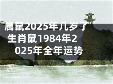 属鼠2025年几岁了 生肖鼠1984年2025年全年运势