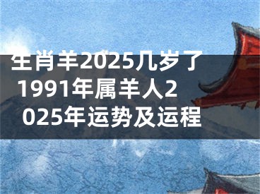 生肖羊2025几岁了 1991年属羊人2025年运势及运程