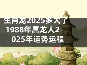 生肖龙2025多大了 1988年属龙人2025年运势运程