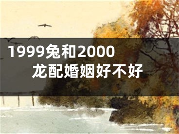 1999兔和2000龙配婚姻好不好