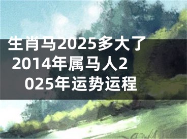 生肖马2025多大了 2014年属马人2025年运势运程