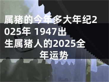属猪的今年多大年纪2025年 1947出生属猪人的2025全年运势