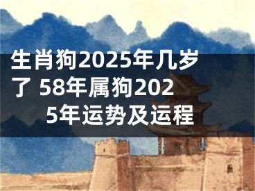生肖狗2025年几岁了 58年属狗2025年运势及运程