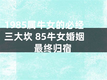 1985属牛女的必经三大坎 85牛女婚姻最终归宿