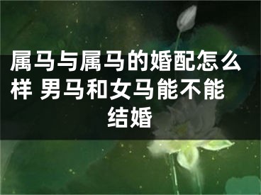 属马与属马的婚配怎么样 男马和女马能不能结婚