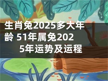 生肖兔2025多大年龄 51年属兔2025年运势及运程