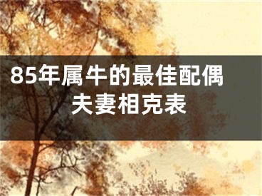 85年属牛的最佳配偶夫妻相克表