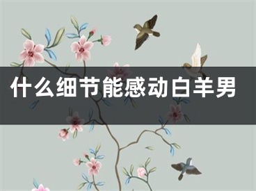 什么细节能感动白羊男