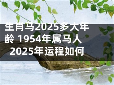 生肖马2025多大年龄 1954年属马人2025年运程如何