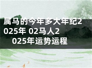 属马的今年多大年纪2025年 02马人2025年运势运程