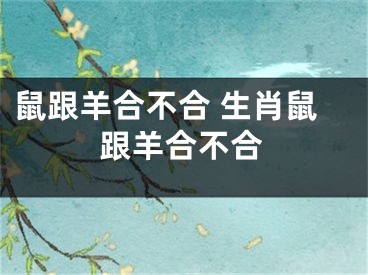 鼠跟羊合不合 生肖鼠跟羊合不合