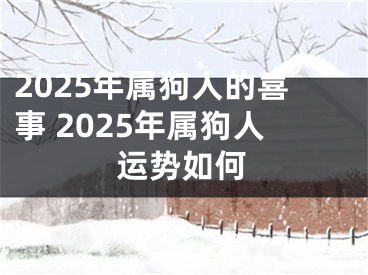 2025年属狗人的喜事 2025年属狗人运势如何