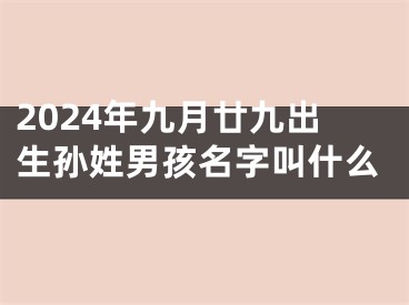 2024年九月廿九出生孙姓男孩名字叫什么